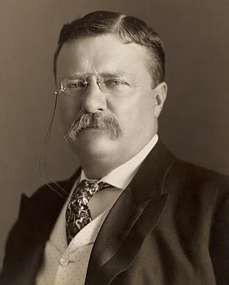 Portrait of Theodore Roosevelt